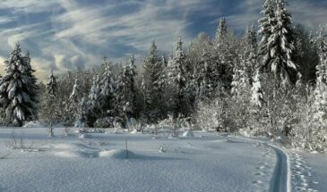У природы нет плохой погоды: какая будет зима в 2023-2024 году в Сибири