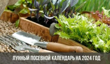 Лунный посевной календарь на 2024 год