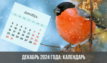 Декабрь 2024 года: календарь