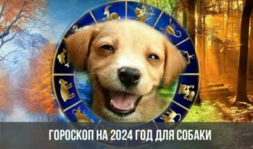 Гороскоп на 2024 год для Собаки