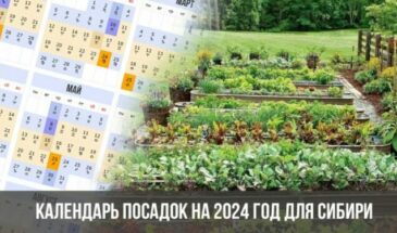 Календарь посадок на 2024 год для Сибири