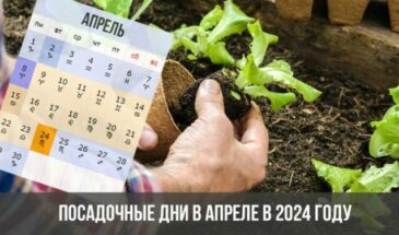 Посадочные дни в апреле в 2024 году