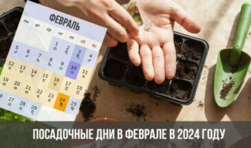 Посадочные дни в феврале в 2024 году