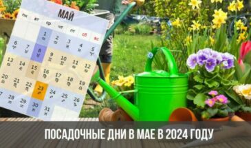 Посадочные дни в мае в 2024 году