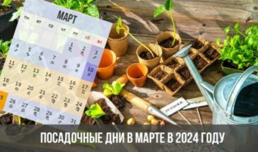 Посадочные дни в марте в 2024 году