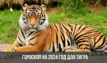 Гороскоп на 2024 год для Тигра