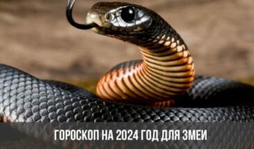 Гороскоп на 2024 год для Змеи