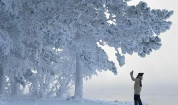 Островок тепла: какая будет зима в 2023-2024 году в Новосибирске