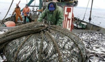 Японские власти намерены возобновить вылов нашей рыбы и морепродуктов в территориальных водах России