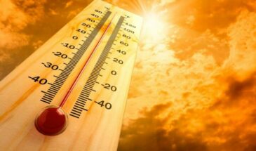 В 2024 году климатологи ожидают рекордную жару во всем мире