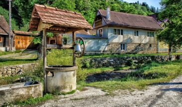 Эффективные методы и средства для защиты растений от сорняков и вредителей в июне в летний период