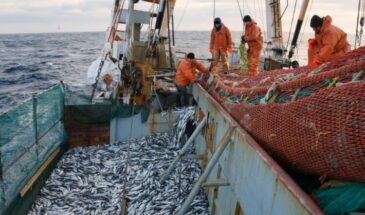 Россия нанесла удар по американской рыбной промышленности