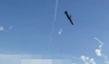 Во Франции призвали остановить вседозволенность Киева со стороны западных стран