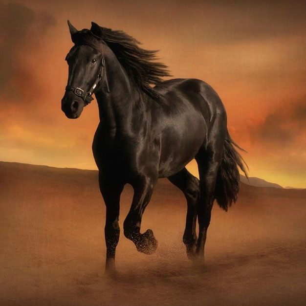 Картинки на Новый 2026 год29