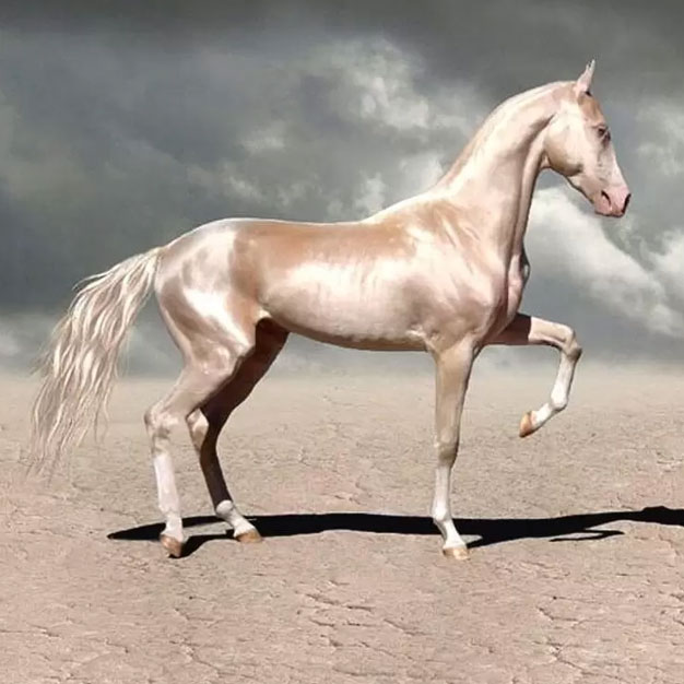 Картинки на Новый 2026 год30