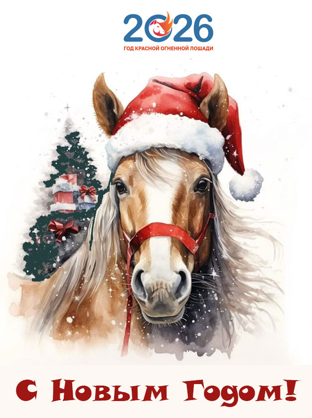 Картинки на Новый 2026 год50