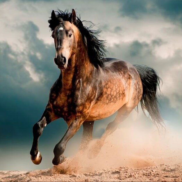 Картинки на Новый 2026 год28