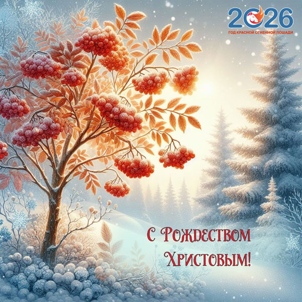 Картинки на Рождество Христово в 2026 году52