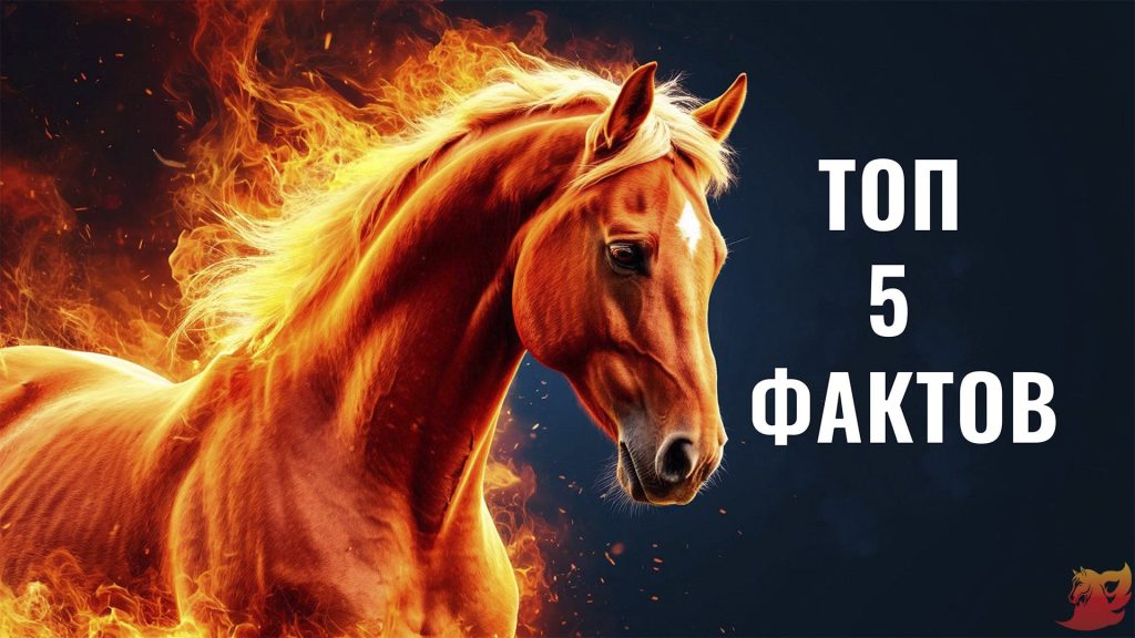 Новогодние приметы в новом 2026 году4