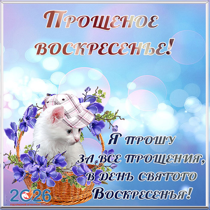 Поздравления с Прощеным Воскресеньем в 2026 году в стихах и открытках29