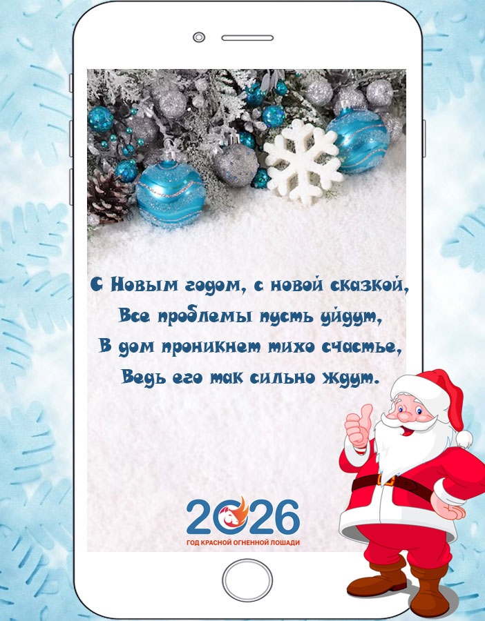 СМС: с Новым 2026 годом29