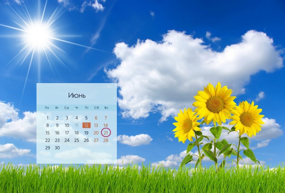 Подсолнухи на траве