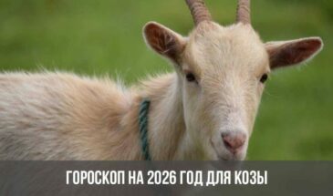 Гороскоп на 2026 год для Козы