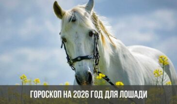 Гороскоп на 2026 год для Лошади