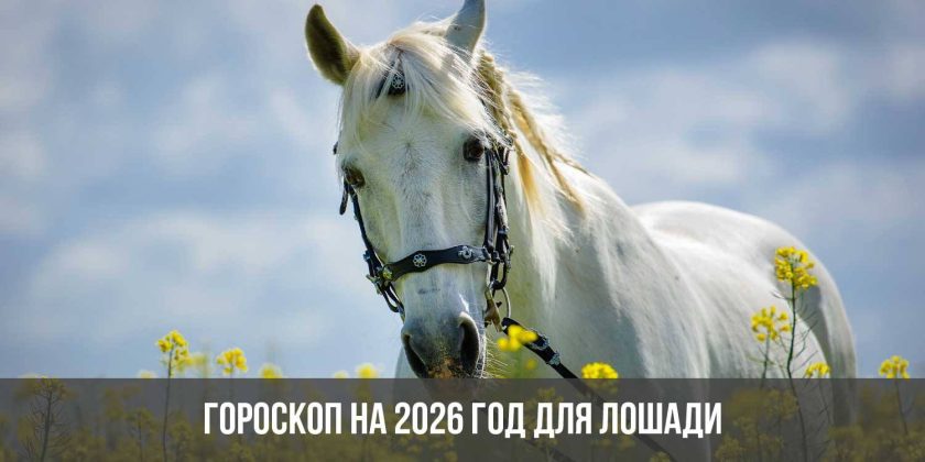 Гороскоп на 2026 год для Лошади0