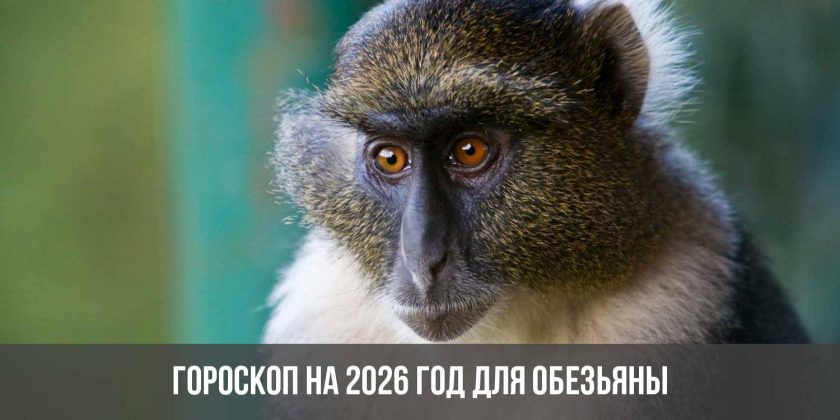 Гороскоп на 2026 год для Обезьяны