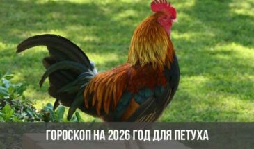 Гороскоп на 2026 год для Петуха