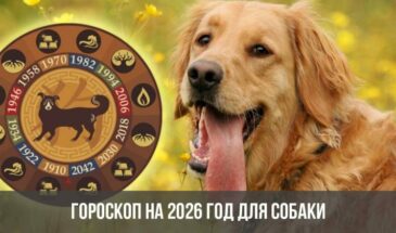 Гороскоп на 2026 год для Собаки