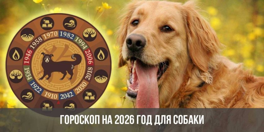 Гороскоп на 2026 год для Собаки