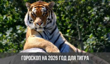 Гороскоп на 2026 год для Тигра