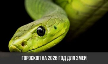 Гороскоп на 2026 год для Змеи