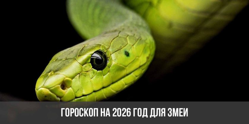 Гороскоп на 2026 год для Змеи