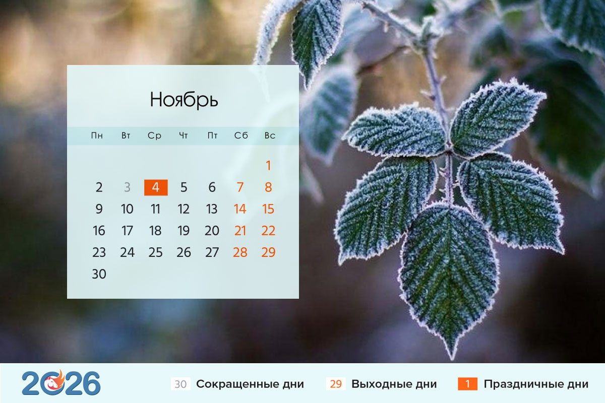 Календарь на ноябрь 2026 года