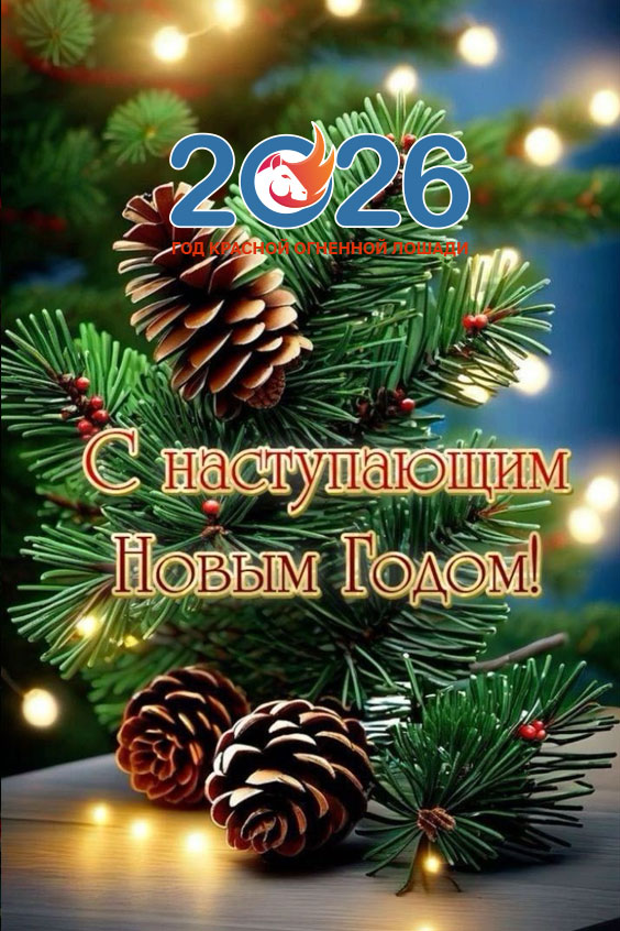 Новогодние поздравления с наступающим в 2026 году7