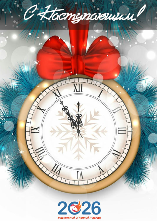 Новогодние поздравления с наступающим в 2026 году29
