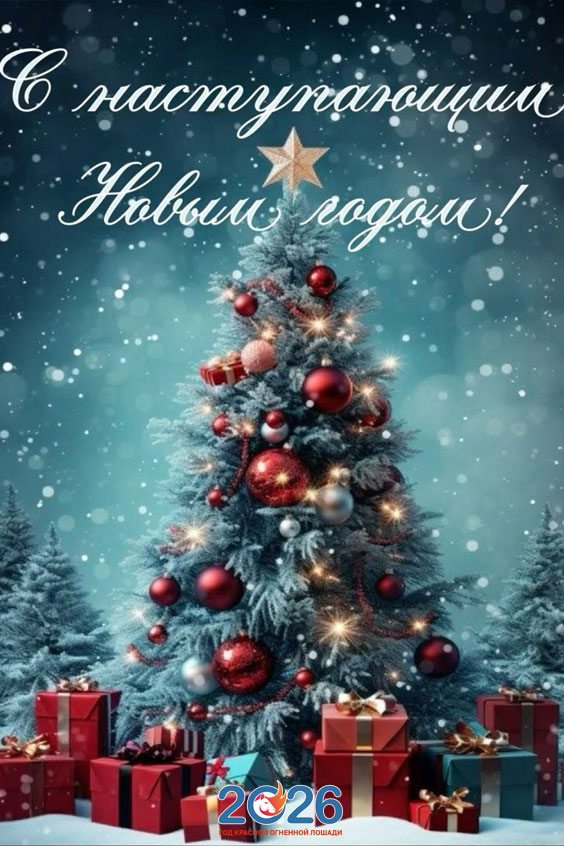 Новогодние поздравления с наступающим в 2026 году12