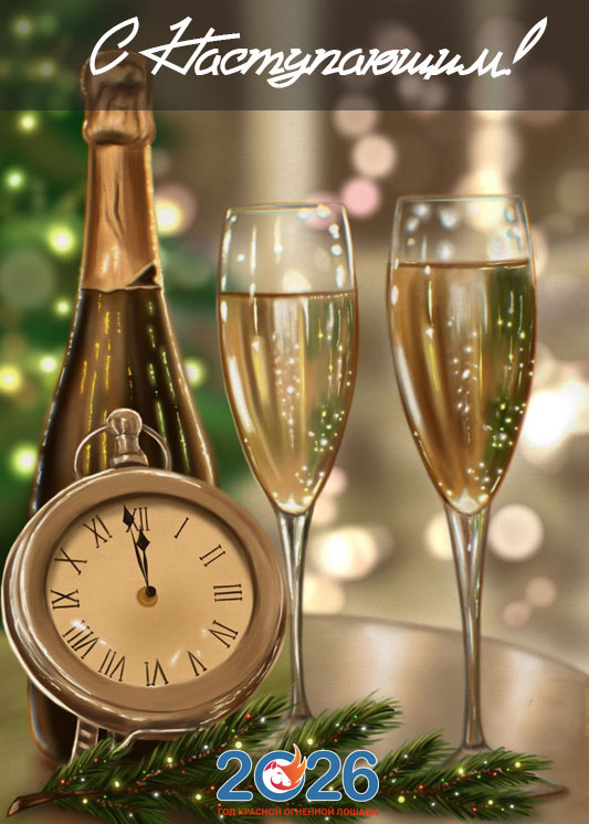 Новогодние поздравления с наступающим в 2026 году24