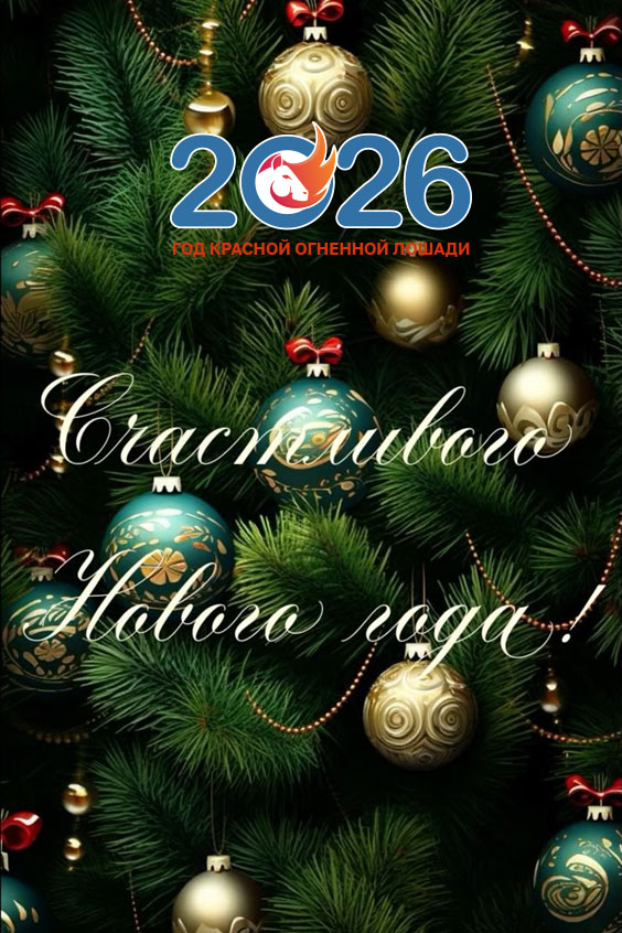 Новогодние поздравления с наступающим в 2026 году9