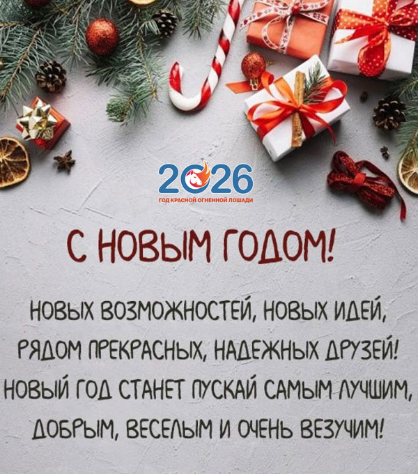 Официальные поздравления с Новым 2026 годом9