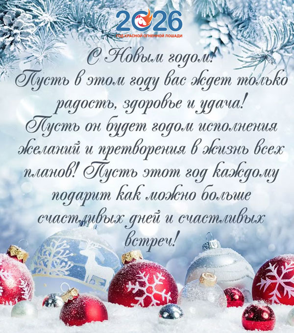 Официальные поздравления с Новым 2026 годом33