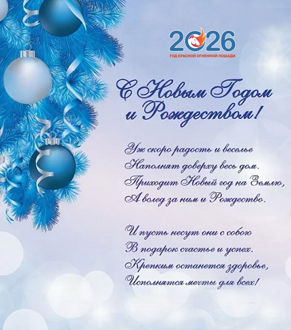 Официальные поздравления с Новым 2026 годом6