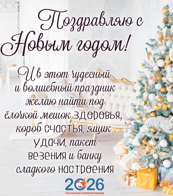 Официальные поздравления с Новым 2026 годом21
