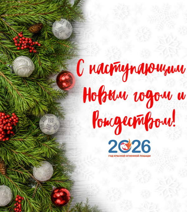 Официальные поздравления с Новым 2026 годом35