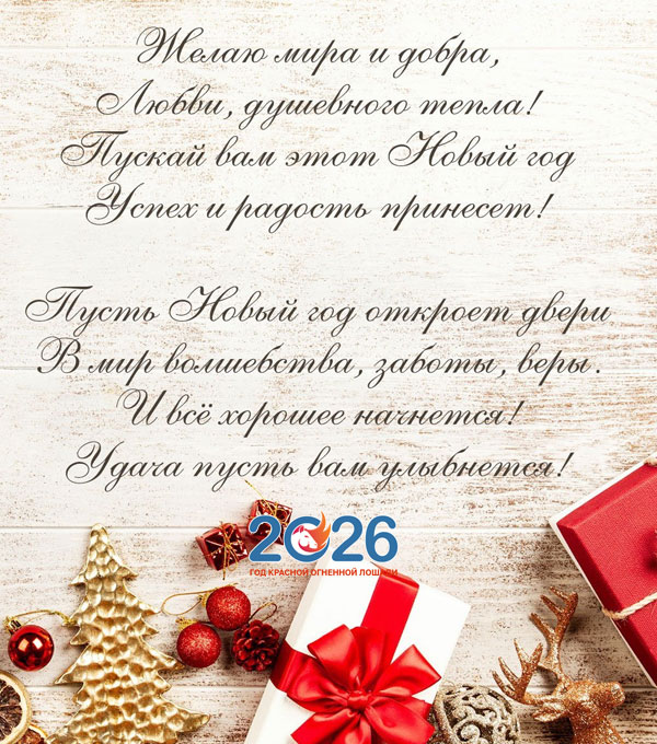 Официальные поздравления с Новым 2026 годом19