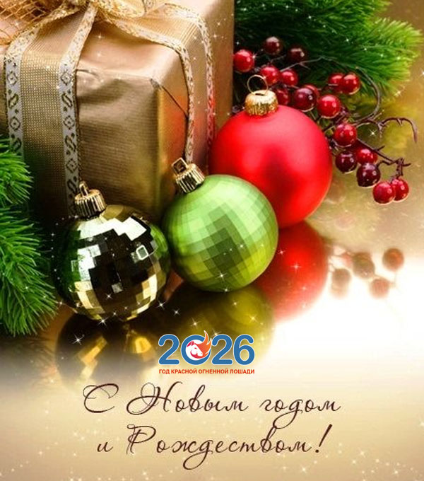 Официальные поздравления с Новым 2026 годом7