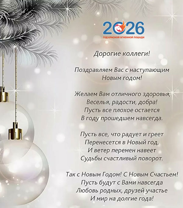 Официальные поздравления с Новым 2026 годом23